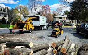 Best Seasonal Cleanup (Spring/Fall)  in Oak Park, CA