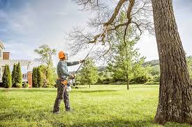 Best Utility Line Clearance  in Oak Park, CA